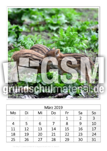 März_Frischling_1.pdf